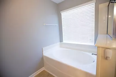 145 Stonemont Drive, Irmo, SC 29063 - Photo 40