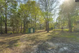 112 Hayburg Dr, Irmo, SC 29063 - Photo 20