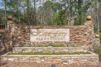 376 Spruce Glenn Road, Lexington, SC 29072 - Photo 52