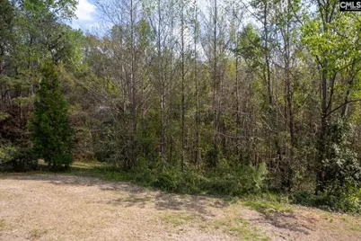 145 Autumn Oaks Lane, Lexington, SC 29073 - Photo 8