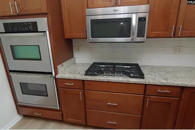 113 Montauk Drive, Lexington, SC 29072 - Photo 8