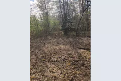 William Circle, West Columbia, SC 29172 - Photo 6