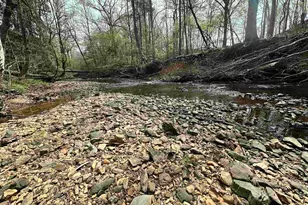 18 Doe Dr, Little Mountain, SC 29075 - Photo 52