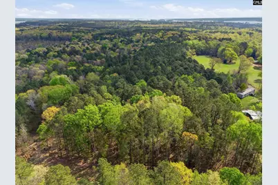 0 Wildwood Rd Extension, Leesville, SC 29070 - Photo 6