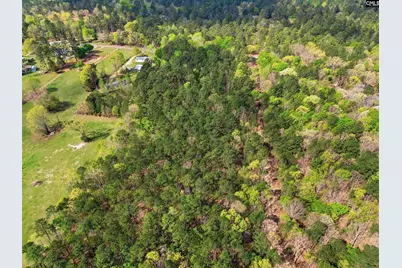0 Wildwood Rd Extension, Leesville, SC 29070 - Photo 10