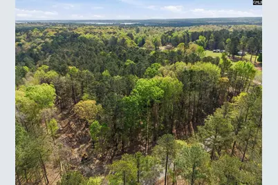 0 Wildwood Rd Extension, Leesville, SC 29070 - Photo 8