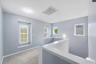 247 Winterberry Loop, Lexington, SC 29072 - Photo 18