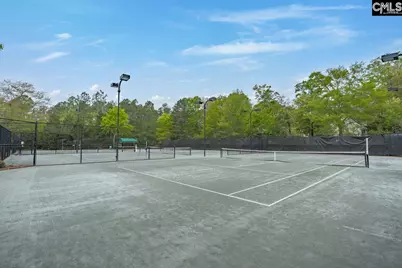 203 Woodlander Drive, Blythewood, SC 29016 - Photo 50