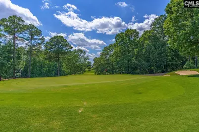 203 Woodlander Drive, Blythewood, SC 29016 - Photo 42