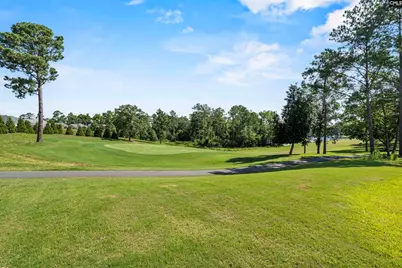 301 Pecan Orchard Road, Elgin, SC 29045 - Photo 32