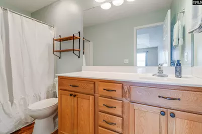 145 Drooping Leaf Drive, Lexington, SC 29072 - Photo 12