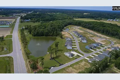 329 Babcock Way, Gilbert, SC 29054 - Photo 40