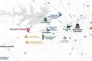 329 Babcock Wy, Gilbert, SC 29054 - Photo 42