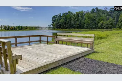 329 Babcock Way, Gilbert, SC 29054 - Photo 38