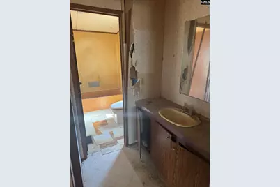 230 Ann Street, Pelion, SC 29123 - Photo 8