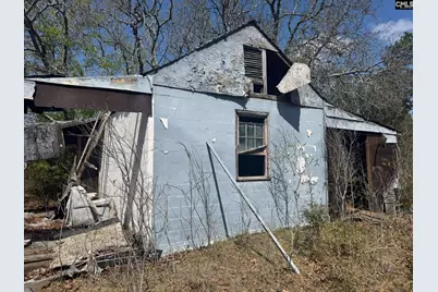 230 Ann Street, Pelion, SC 29123 - Photo 14