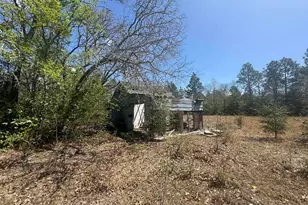 230 Ann St, Pelion, SC 29123 - Photo 16