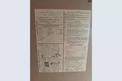 230 Ann Street, Pelion, SC 29123 - Photo 12