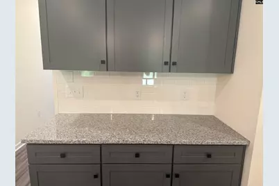 245 Forgotten Trail, Lexington, SC 29072 - Photo 30