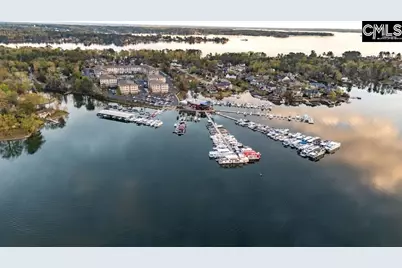 105 Shores Edge Drive, Chapin, SC 29036 - Photo 42