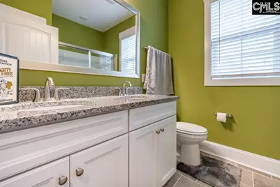 105 Shores Edge Drive, Chapin, SC 29036 - Photo 28