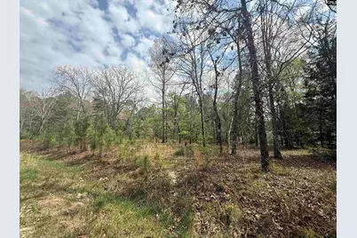 129 Treemount Lane, Gaston, SC 29053 - Photo 4