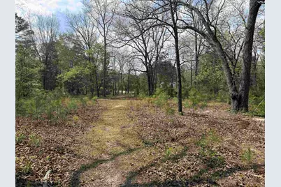 129 Treemount Lane, Gaston, SC 29053 - Photo 6