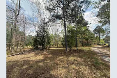 129 Treemount Lane, Gaston, SC 29053 - Photo 2