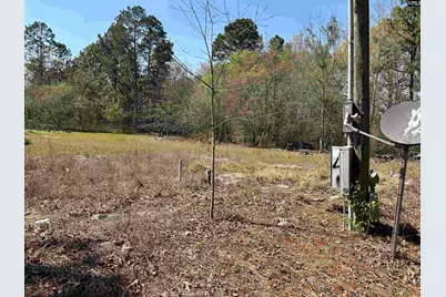 149 Hass Lucas Road, Gaston, SC 29053 - Photo 10