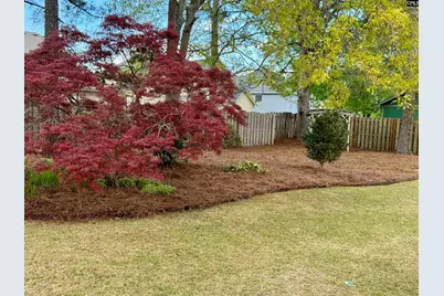 129 Letha Lane, Lexington, SC 29072 - Photo 18