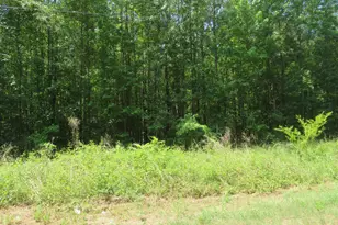 S/S Old Eastover Rd, Eastover, SC 29044 - Photo 24