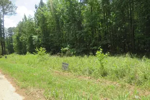 S/S Old Eastover Rd, Eastover, SC 29044 - Photo 18
