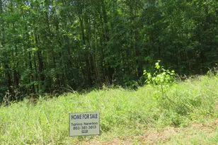 S/S Old Eastover Rd, Eastover, SC 29044 - Photo 2