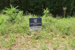 S/S Old Eastover Rd, Eastover, SC 29044 - Photo 14