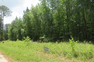 S/S Old Eastover Rd, Eastover, SC 29044 - Photo 8