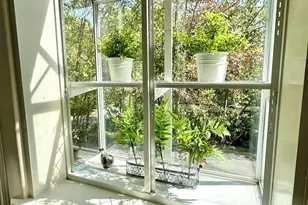 207 Wateree Ave, Columbia, SC 29205 - Photo 44