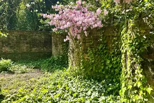 207 Wateree Ave, Columbia, SC 29205 - Photo 60