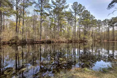 2341 Old Whites Mill Road, Sumter, SC 29153 - Photo 54