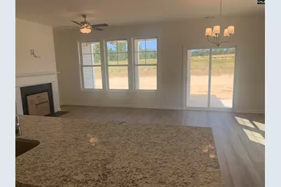 207 Ruby Prince Way, Lexington, SC 29073 - Photo 4