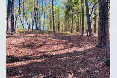 0 Lands End Lane #219, Prosperity, SC 29127 - Photo 14