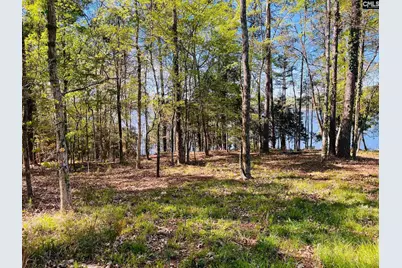 0 Lands End Lane #219, Prosperity, SC 29127 - Photo 10