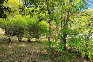 151 Sandpit Ct, Leesville, SC 29070 - Photo 16