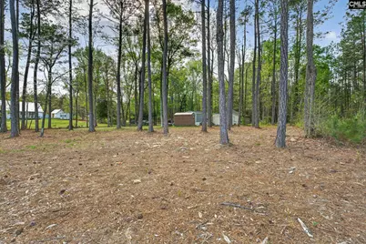 1045 Rushing Road, Blythewood, SC 29016 - Photo 6