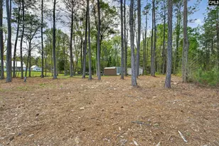 1045 Rushing Rd, Blythewood, SC 29016 - Photo 6