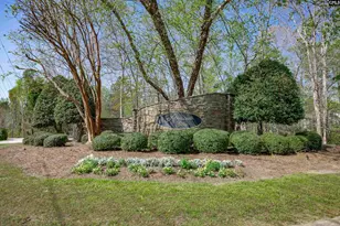 105 Alcott Ct, Lexington, SC 29072 - Photo 50