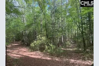 360 Rollingwood Drive, Lexington, SC 29072 - Photo 8