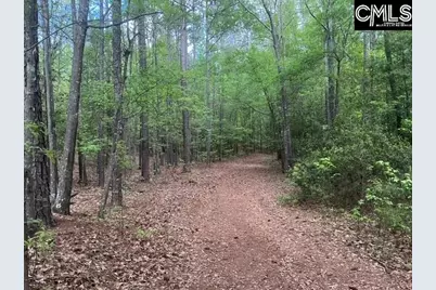 360 Rollingwood Drive, Lexington, SC 29072 - Photo 6