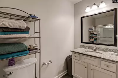 215 Drummond Way, Lexington, SC 29072 - Photo 28