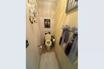 11 Grouse Court, Blythewood, SC 29016 - Photo 20