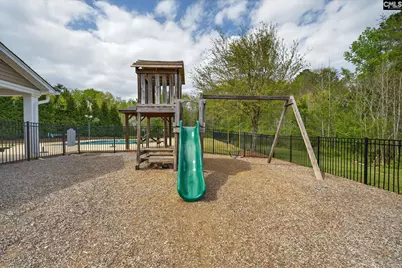 715 Soldier Gray Lane, Chapin, SC 29036 - Photo 54